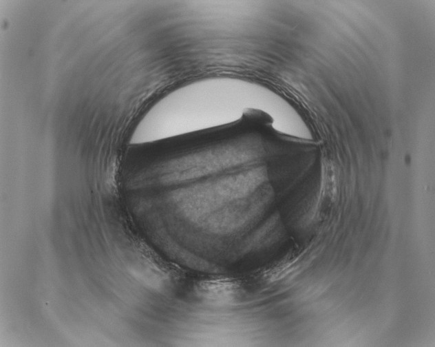 X0000088220219200706121838
