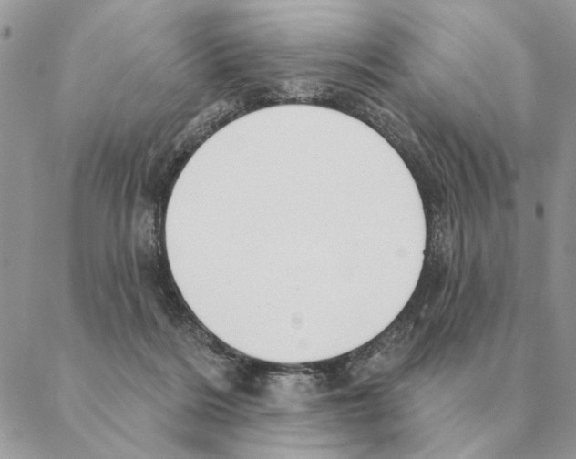X0000088220220200706121838