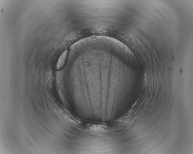 X0000088220223200706121838