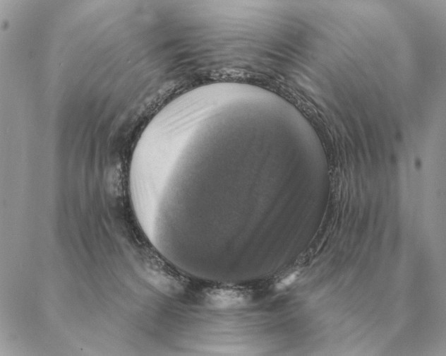 X0000088220224200706121838