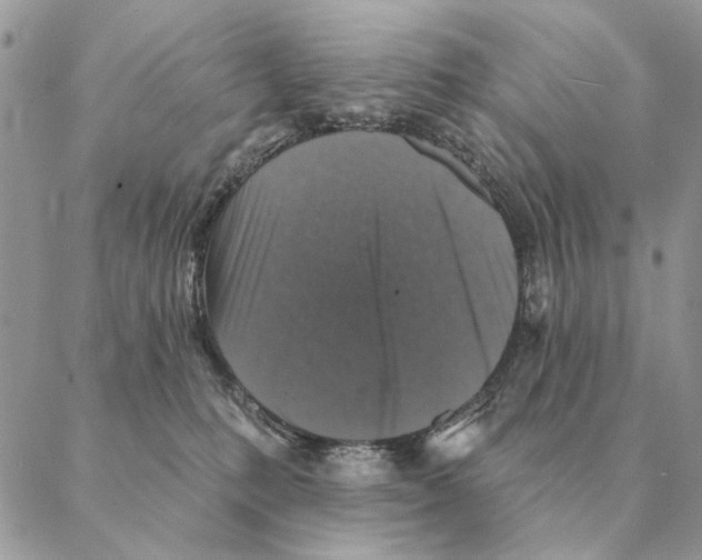 X0000088220231200706121838