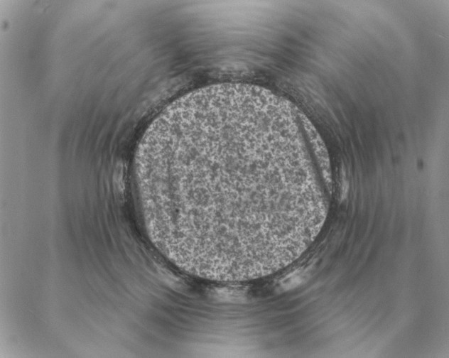 X0000088220232200706121838