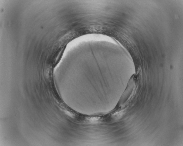 X0000088220233200706121838