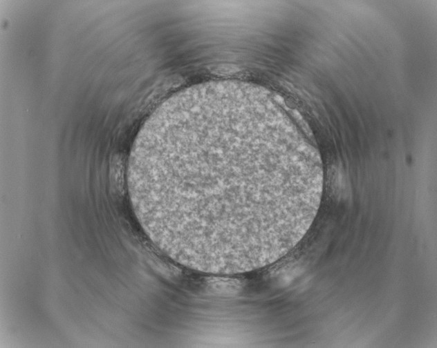 X0000088220234200706121838
