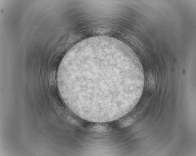 X0000088220236200706121838