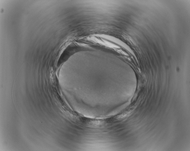 X0000088220237200706121838