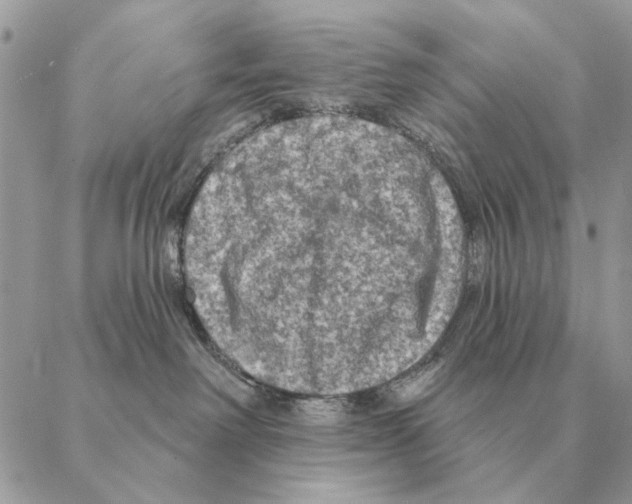 X0000088220238200706121838