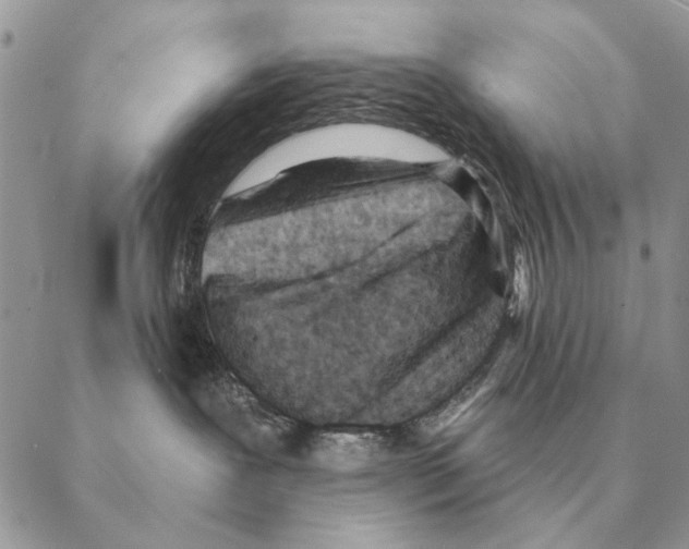 X0000088220239200706121838