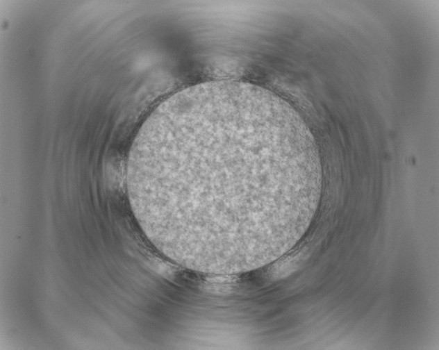 X0000088220240200706121838