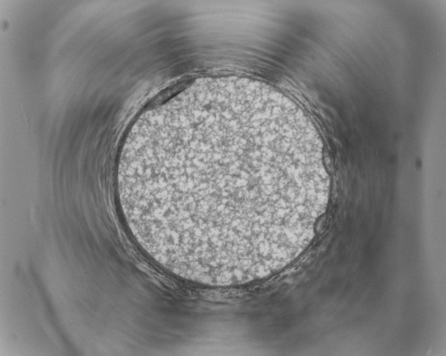 X0000088220241200706121837