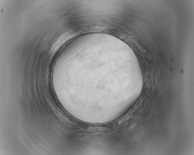 X0000088220242200706121837
