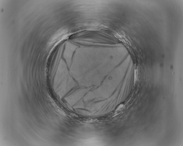 X0000088220243200706121837