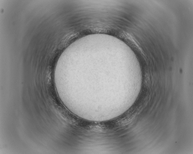 X0000088220259200706121838