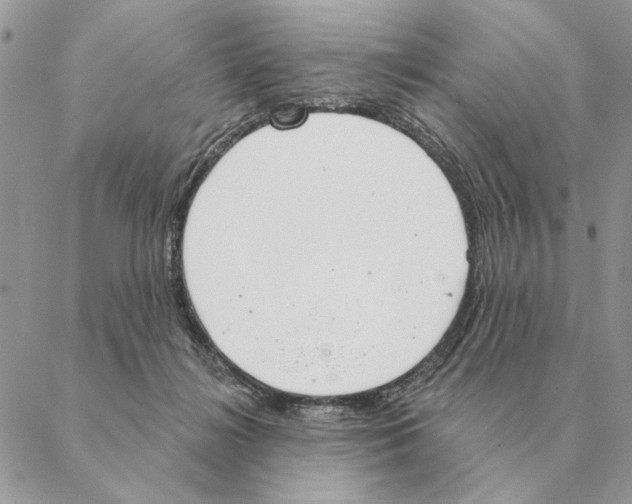 X0000088220268200706121838