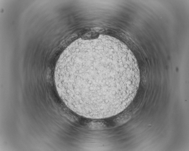 X0000088220270200706121838