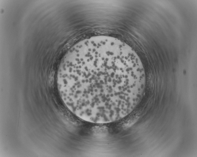 X0000088220271200706121838