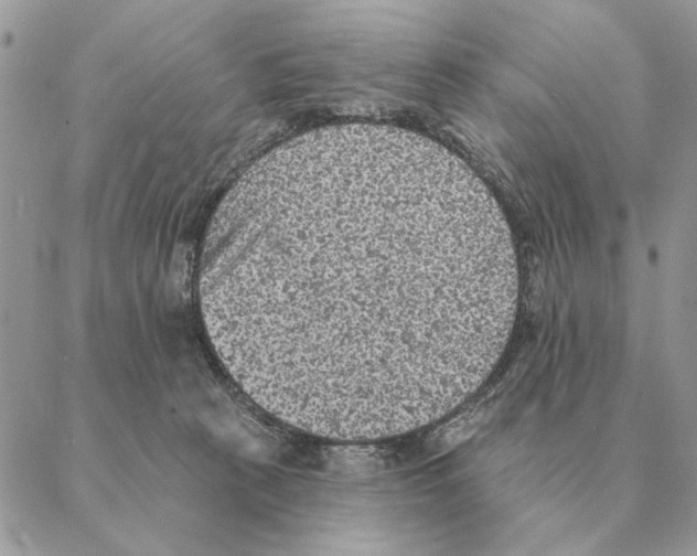 X0000088220273200706121838