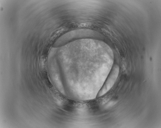 X0000088220276200706121838