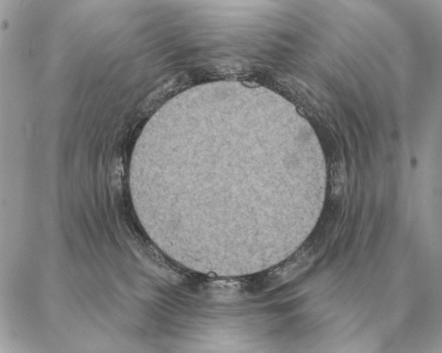 X0000088220279200706121838