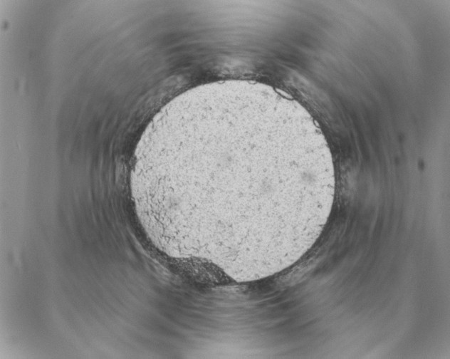 X0000088220281200706121838