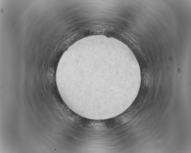 X0000088220283200706121838