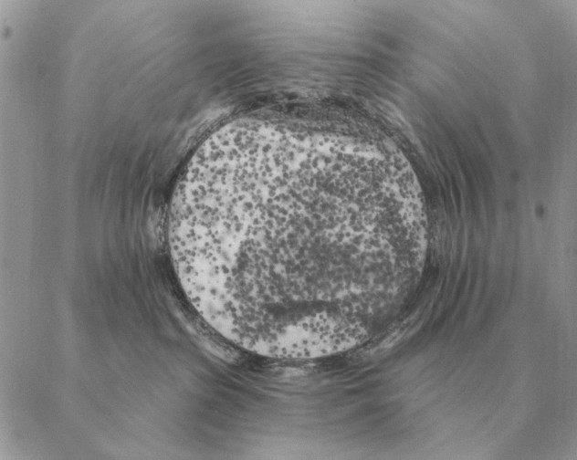 X0000088220285200706121838