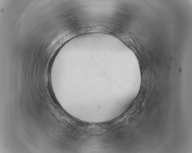 X0000088220290200706121837