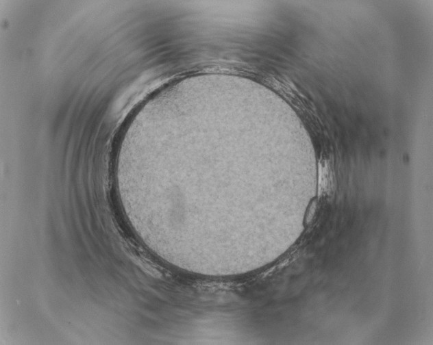 X0000088220291200706121837