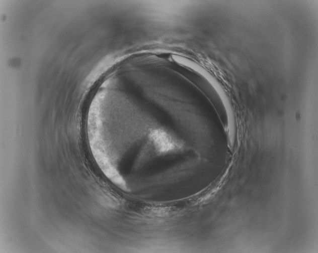 X0000088220295200706121837