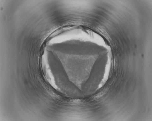 X0000088220301200706121837