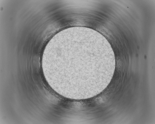 X0000088220302200706121837