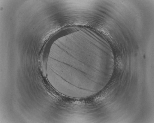 X0000088220303200706121837