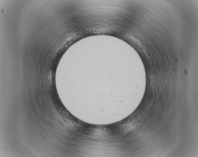 X0000088220308200706121837