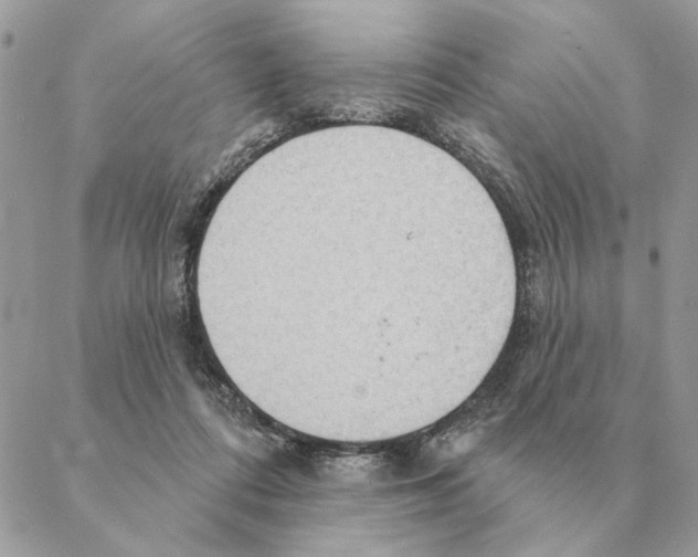 X0000088220312200706121837