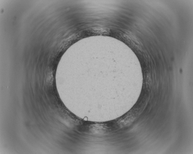 X0000088220320200706121837