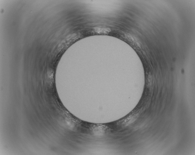 X0000088220321200706121837
