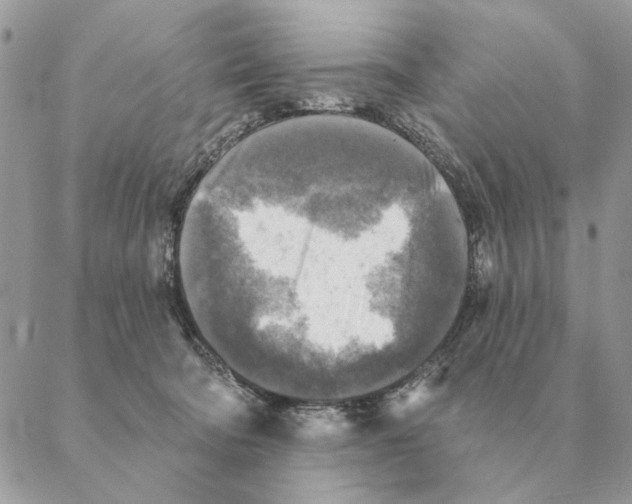 X0000088220322200706121837