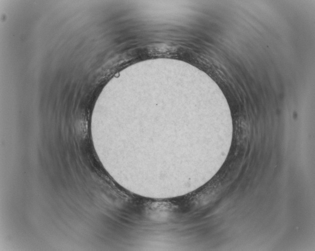 X0000088220324200706121837