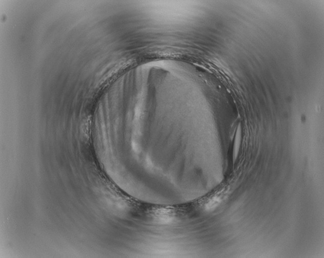 X0000088220325200706121837