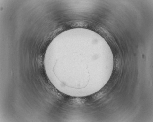X0000088220326200706121837