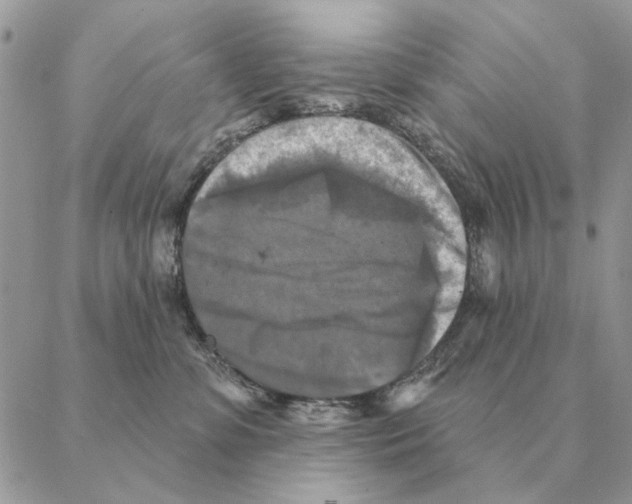 X0000088220331200706121837
