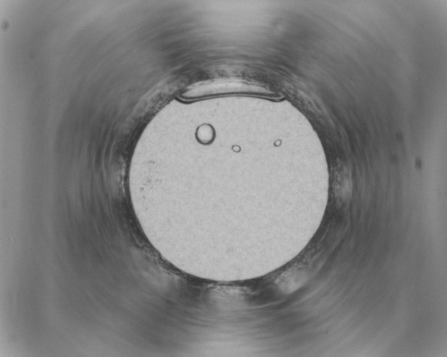 X0000088220332200706121837