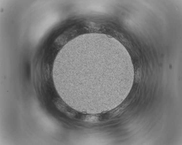 X0000088220335200706121837