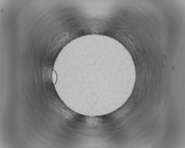 X0000088220336200706121837
