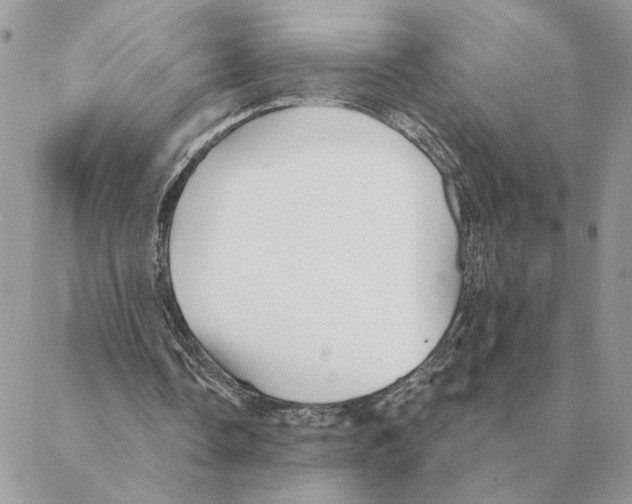 X0000088220338200706121836