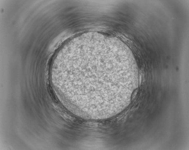 X0000088220339200706121836