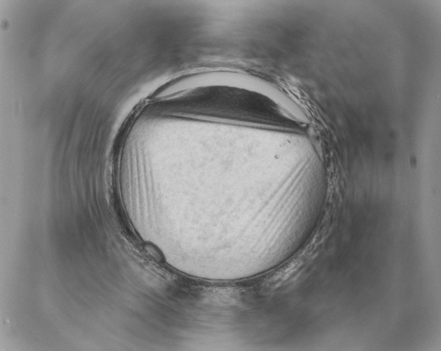 X0000088220342200706121836