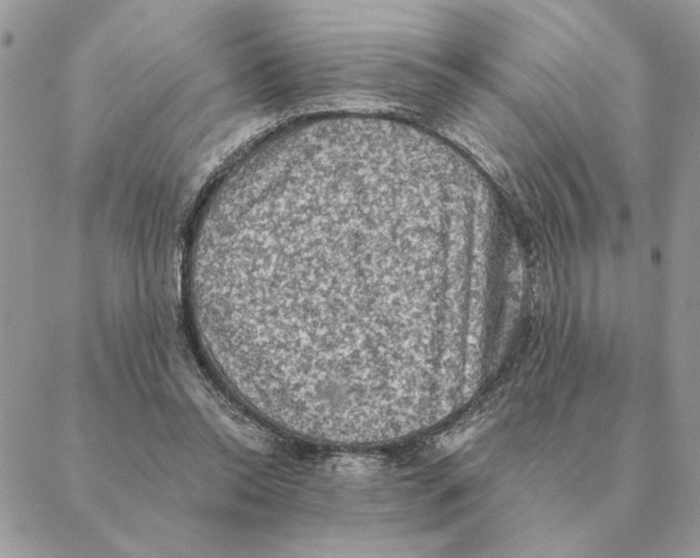 X0000088220350200706121836