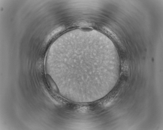 X0000088220352200706121836