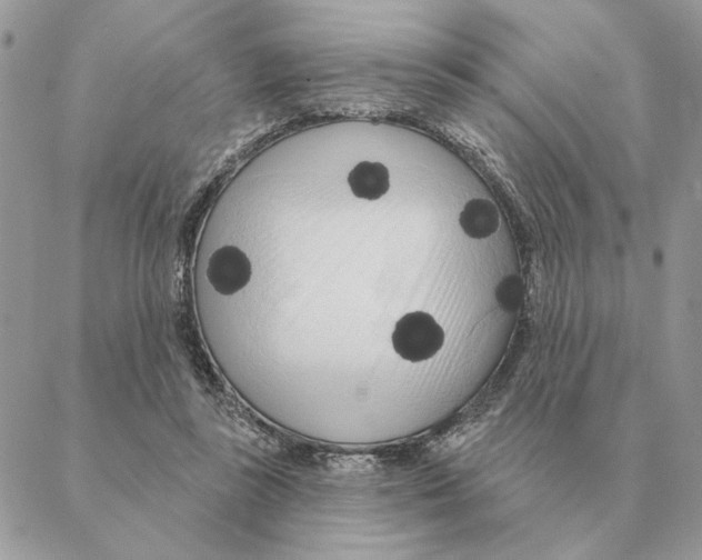 X0000088220355200706121836